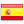 Renoir Español
